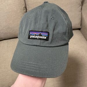 Patagonia Gray Cap